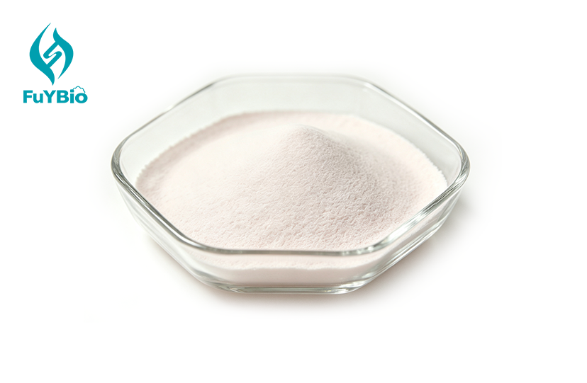 Catechin Powder